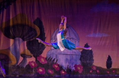 Alice ~In~ Motion 2024